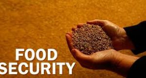 Assam  Food security